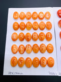 10x14 mm Spiny Oyster Shell Oval Cabs • Pack of 2 Pieces • AAA Quality • Natural Shell Cabochon • Orange/ Red Color