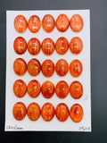 12X16 mm Spiny Oyster Shell Oval Cabs • Pack of 1 Piece • AAA Quality • Natural Shell Cabochon • Red Color