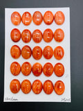12X16 mm Spiny Oyster Shell Oval Cabs • Pack of 1 Piece • AAA Quality • Natural Shell Cabochon • Red Color