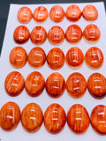 12X16 mm Spiny Oyster Shell Oval Cabs • Pack of 1 Piece • AAA Quality • Natural Shell Cabochon • Red Color