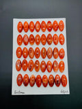 8x16 mm Spiny Oyster Shell Oval Cabs • Pack of 4 Pieces • AAA Quality • Natural Shell Cabochon • Red Color
