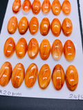 10x20 mm Spiny Oyster Shell Oval Cabs • Pack of 2 Pcs • AAA Quality • Natural Shell Cabochon • Orange/ Red Color