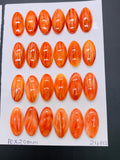 10x20 mm Spiny Oyster Shell Oval Cabs • Pack of 2 Pcs • AAA Quality • Natural Shell Cabochon • Orange/ Red Color
