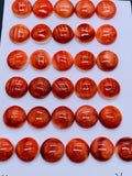 12 mm Spiny Oyster Shell Round Cabs • Pack of 2 Pcs • AAA Quality • Natural Shell Cabochon • Red Color