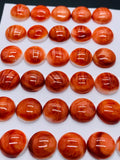 12 mm Spiny Oyster Shell Round Cabs • Pack of 2 Pcs • AAA Quality • Natural Shell Cabochon • Red Color