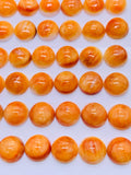 10 mm Spiny Oyster Shell Round Cabs • Pack of 4 Pcs • AAA Quality • Natural Shell Cabochon • Orange Color
