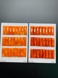 8X24 mm Spiny Oyster Shell Rectangle Cabs • Pack of 2 Pcs • AAA Quality • Natural Shell Cabochon • Orange/ Red Color