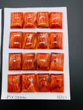 15x20 mm Spiny Oyster Shell Rectangle Cabs • Pack of 1 Pc • AAA Quality • Natural Shell Cabochon • Orange/ Red Color