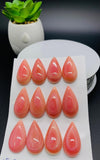 Queen Conch Shell Pear Cabs • 15x25 mm Size • Pack of 1 Pc • AAA Quality • Flat Back • Queen Conch Cabochons