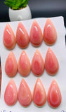 Queen Conch Shell Pear Cabs • 15x25 mm Size • Pack of 1 Pc • AAA Quality • Flat Back • Queen Conch Cabochons