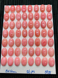 Queen Conch Shell Oval Cabs • 8X12 mm Size • Pack of 4 Pcs • AAA Quality • Flat Back• Queen Conch Cabochons
