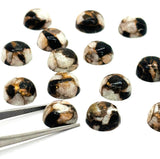 Abalone copper and black onyx 8MM Shell Cabs, Pack of 6 pieces, compressed material.