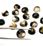 Abalone copper and black onyx 8MM Shell Cabs, Pack of 6 pieces, compressed material.
