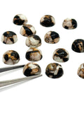 10mm Abalone copper and black onyx Shell Cabs, Pack of 6 pieces, compressed material.