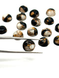 10mm Abalone copper and black onyx Shell Cabs, Pack of 6 pieces, compressed material.