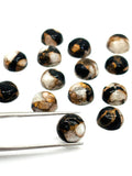 10mm Abalone copper and black onyx Shell Cabs, Pack of 6 pieces, compressed material.