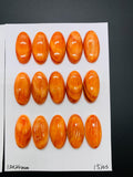 12x24 mm Spiny Oyster Shell Oval Cabs • Pack of 1 Pc • AAA Quality • Natural Shell Cabochon • Orange Color