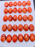 10x14 mm Spiny Oyster Shell Oval Cabs • Pack of 2 Pieces • AAA Quality • Natural Shell Cabochon • Orange/ Red Color