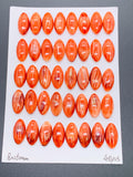 8x16 mm Spiny Oyster Shell Oval Cabs • Pack of 4 Pieces • AAA Quality • Natural Shell Cabochon • Red Color