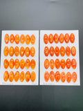 10x20 mm Spiny Oyster Shell Oval Cabs • Pack of 2 Pcs • AAA Quality • Natural Shell Cabochon • Orange/ Red Color