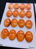 15X20 mm Spiny Oyster Shell Oval Cabs • Pack of 1 Pc • AAA Quality • Natural Shell Cabochon • Orange/ Red Color