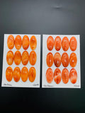 15x30 mm Spiny Oyster Shell Oval Cabs • Pack of 1 Pc • AAA Quality • Natural Shell Cabochon • Orange/ Red Color