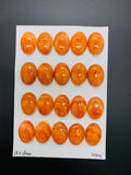 13x18 mm Spiny Oyster Shell Oval Cabs • Pack of 1 Pc • AAA Quality • Natural Shell Cabochon • Orange Color