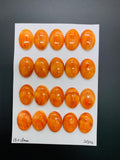 13x18 mm Spiny Oyster Shell Oval Cabs • Pack of 1 Pc • AAA Quality • Natural Shell Cabochon • Orange Color