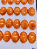 13x18 mm Spiny Oyster Shell Oval Cabs • Pack of 1 Pc • AAA Quality • Natural Shell Cabochon • Orange Color