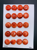 14 mm Spiny Oyster Shell Round Cabs • Pack of 2 Pcs • AAA Quality • Natural Shell Cabochon • Red Color
