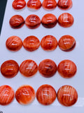 14 mm Spiny Oyster Shell Round Cabs • Pack of 2 Pcs • AAA Quality • Natural Shell Cabochon • Red Color