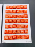 10 mm Spiny Oyster Shell Square Cabs • Pack of 2 Pcs • AAA Quality • Natural Shell Cabochon • Orange/ Red Color