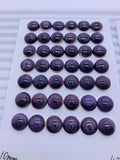 10 / 12 mm Wampum Quahog Shell round Cabs • AAA Quality • Natural Wampum Shell Cabochon • Flat Back