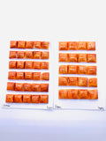 12/14 mm Spiny Oyster Shell Square Cabs • Pack of 2 Pcs • AAA Quality • Natural Shell Cabochon • Orange/ Color