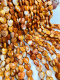 10/ 12 mm Spiny Oyster Heart Beads • 16 Inch length • AAA Quality • Natural Spiny Oyster Orange Color • Origin Mexico