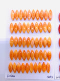 6x16 mm Spiny Oyster Shell Marquise Cabs • Pack of 2 Pcs • AAA Quality • Natural Shell Cabochon • Orange/ Red Color