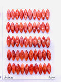 6x16 mm Spiny Oyster Shell Marquise Cabs • Pack of 2 Pcs • AAA Quality • Natural Shell Cabochon • Orange/ Red Color