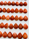 Spiny Oyster Shell Pear Cabs • 8x10 mm Size • Pack of 2 Pieces • AAA Quality • Natural Shell Cabochon • Red Color