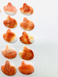 29x30 mm Spiny Oyster Shell Sealife Carving Cabs • Pack of 1 Pc • AAA Quality • Natural Spiny Oyster Shell Cabochon