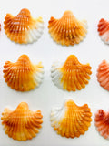 27x30 mm Spiny Oyster Shell Sealife Carving Cabs • Pack of 1 Pc • AAA Quality • Dark Orange/ Light Orange/ Red Color