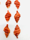 18x35 mm Spiny Oyster Shell Sealife Carving Cabs • Pack of 1 Pc • AAA Quality • Natural Spiny Oyster Shell• Orange/ Red Color