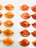 20x30 mm Spiny Oyster Shell Sealife Carving Cabs • Pack of 1 Pc • AAA Quality • Natural Spiny Oyster Shell Cabochon • Orange/ Red Color