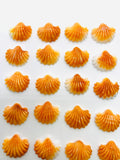 18X20 mm Spiny Oyster Shell Sealife Carving Cabs • Pack of 1 Pc • AAA Quality • Natural Spiny Oyster Shell Cabochon •