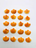 18X20 mm Spiny Oyster Shell Sealife Carving Cabs • Pack of 1 Pc • AAA Quality • Natural Spiny Oyster Shell Cabochon •