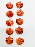 10x11 mm Spiny Oyster Shell Sealife Carving Cabs • ( Straight Full Drill ) • AAA Quality • Natural Spiny Oyster Orange/ Red Color