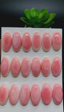 Queen Conch Shell Oval Cabs • 10x20 mm Size • Pack of 2 Pcs • AAA Quality • Flat Back • Queen Conch Cabochons