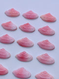 Queen Conch Shell Carving Sealife • 14x24 mm Size • Pack of 1 Pc • AAA Quality • Flat Back • (#107562)