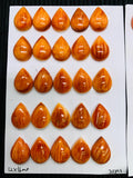 Spiny Oyster Shell Pear Cabs • 12x16 mm Size • Pack of 2 Pcs • AAA Quality • Natural Shell Cabochon • Orange/ Red Color