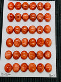 Spiny Oyster Shell Oval Cabs • 10x12 mm Size • Pack of 2 Pcs • AAA Quality • Natural Shell Cabochon • Red Color