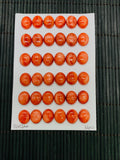 Spiny Oyster Shell Oval Cabs • 10x12 mm Size • Pack of 2 Pcs • AAA Quality • Natural Shell Cabochon • Red Color